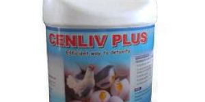 Cenliv Plus Syrup