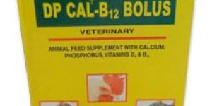 DP Cal B12 Bolus