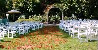Wedding Folding Chair