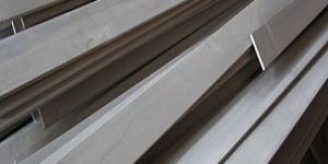 Stainless Steel Strips