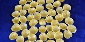 Small Moon Shaped Fryums