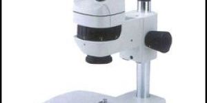 Stereo Microscope