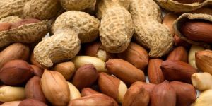 Groundnut Kernels