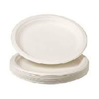Eco Friendly Party Plates