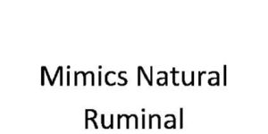 Ruma-Flora (Mimics Natural Ruminal Microflora)