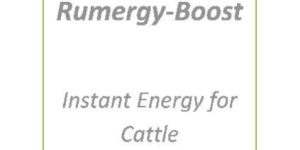Rumergy-Boost (Instant Energy for Cattle)