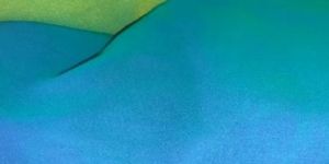 C.N Georgette fabric