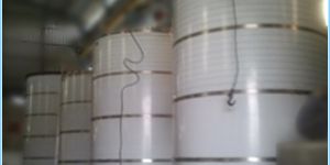 Stainless Steel Silo
