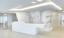 Solid Surface Material