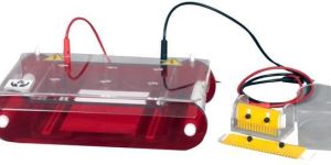 Horizontal Electrophoresis Systems