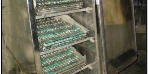 serum inspissator - Laboratory Equipment