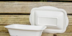 Disposable Food Container