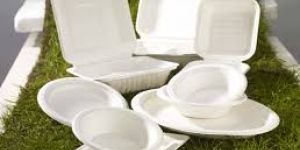 Sugarcane Tableware