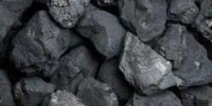 Indian Steam Coal