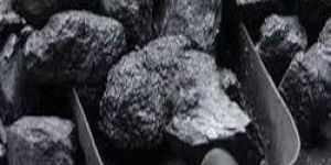 South African Coal