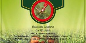 Bio Protector Liquid Fertilizer