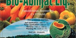 Pseudomonas Fluorescens Fertilizer