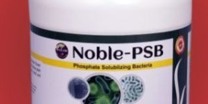 NOBLE PSB
