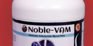 NOBLE-VAM