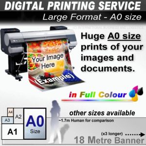 Poster Printing Services