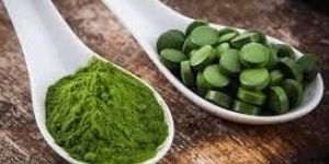 Gymnema Sylvestre Tablets