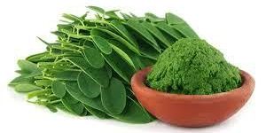 Moringa Oleifera Powder