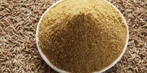 Cumin Powder