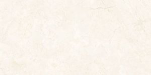 300 X 450 Mm Glossy Digital Wall Tiles