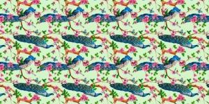 Dress Material Border Lace