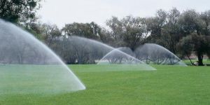Landscape Irrigation System Installation
