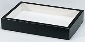Insect Display Box