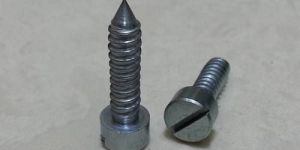 Slotted Point Screw