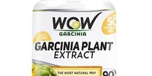 WOW Garcinia Cambogia Plant Extract
