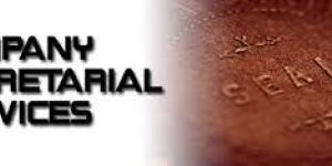 Company Secretarial Services