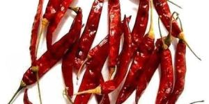 Dried Red Chilli