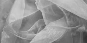 Organza Fabric