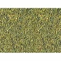 Green Millets