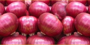 Red Onion