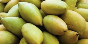 Fresh Totapuri Mango