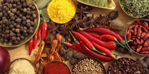 Indian Spices