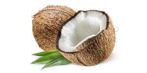 Fresh Coconut