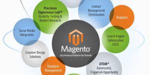 Website Development Company