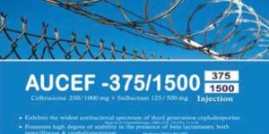 Aucef Injectable