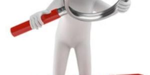 Statutory Audit Assurance Services