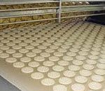 Light Weight Biscuit Webbing Conveyor Belt