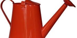 Plant Watering Can