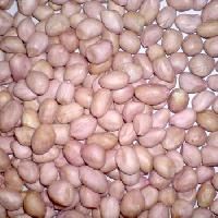 HPS Groundnut Kernels