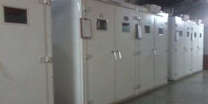 Chicken Hatchery Machine