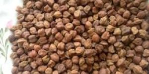 Black Chickpeas
