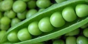 Green Peas